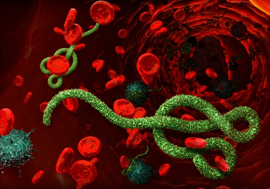 Ebola - Đại dịch đang đe dọa thế giới